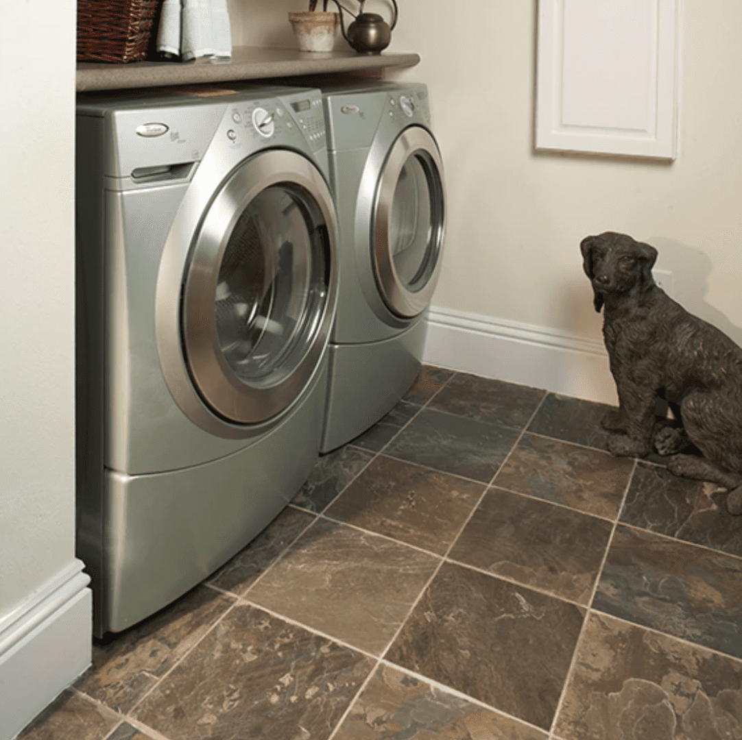 A dog sitting in front of the washer and dryer.