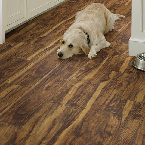 A dog laying on the floor of a house.